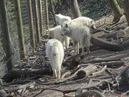 Tiergarten Schönbrunn am 23.03.2023